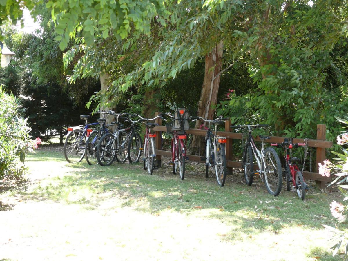 Agriturismo Le Pescine Vada Bagian luar foto