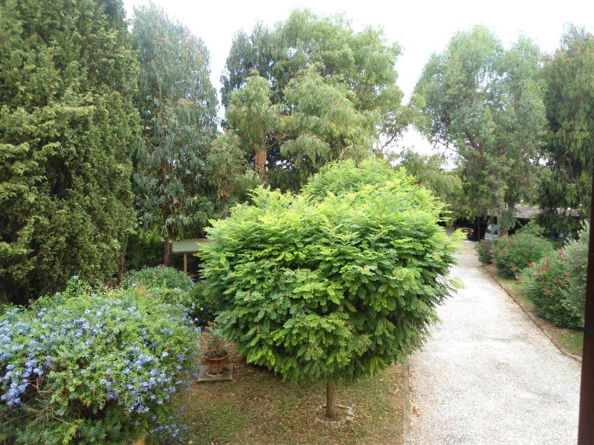 Agriturismo Le Pescine Vada Bagian luar foto