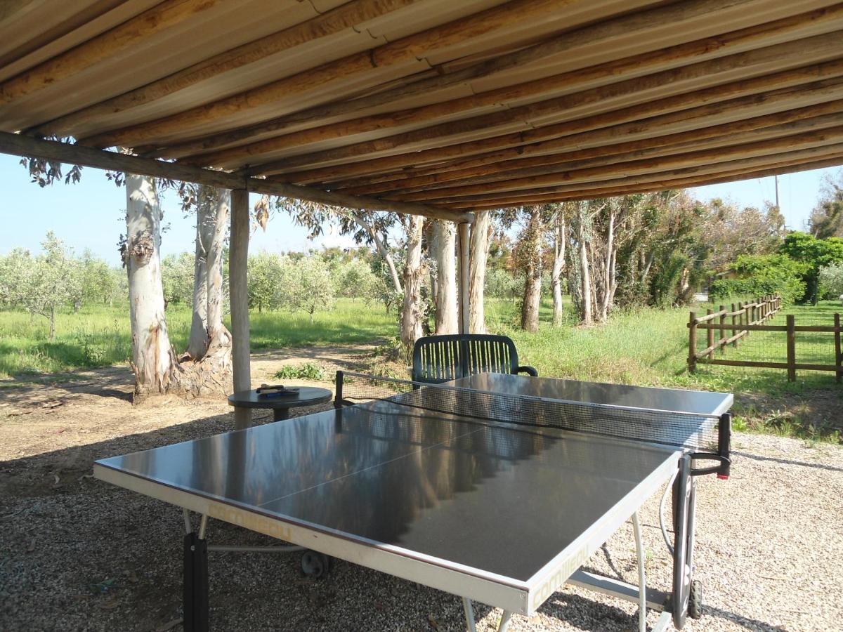 Agriturismo Le Pescine Vada Bagian luar foto
